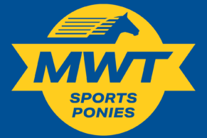 MWT Sports Ponies
